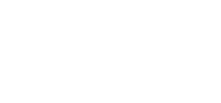 SalesFire